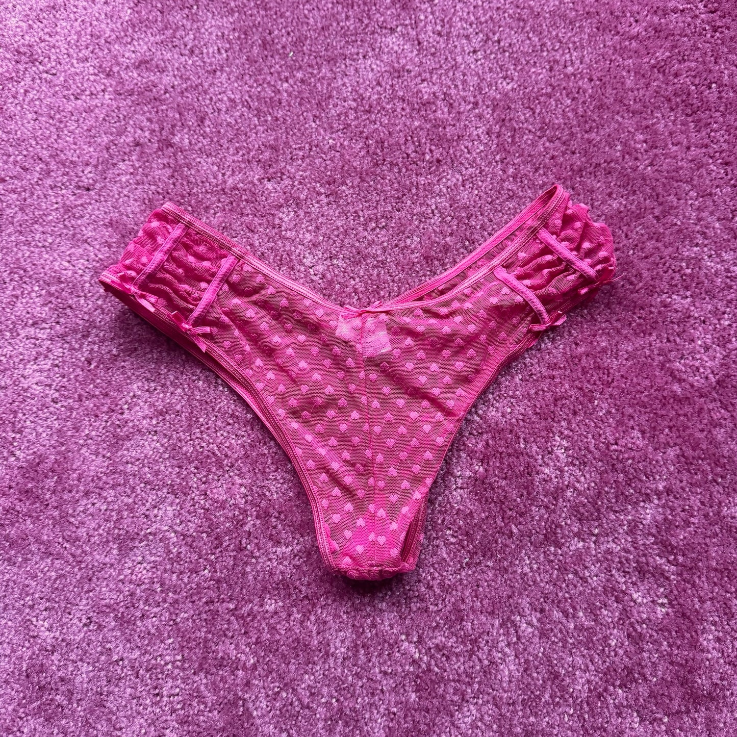 Mesh Heart-Detail Bikini Panties (S)